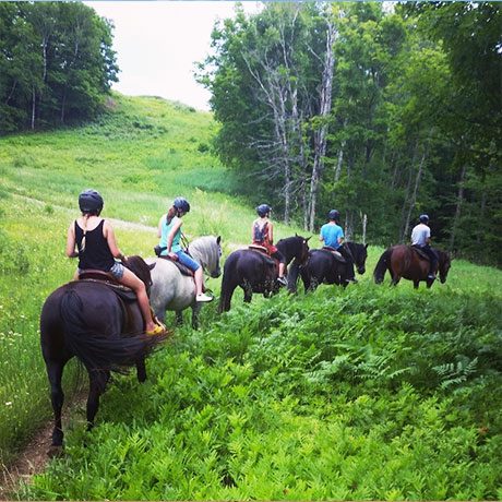bnn-campamento-montreal-canada-10