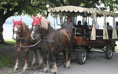 img_mcgrath_foto_aa_alemania_opt_32