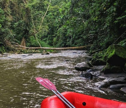 img_mcgrath_foto_aa_uk_priv_2000_18