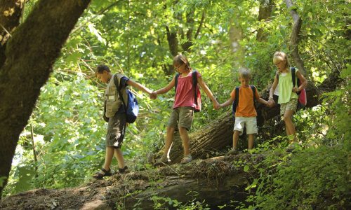 img_mcgrath_foto_verano_usa_2000_Young campers_Nature trail in the woods